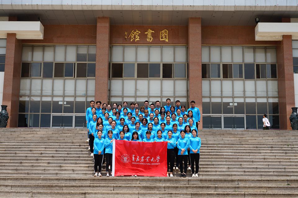 永利3044noc集团官网