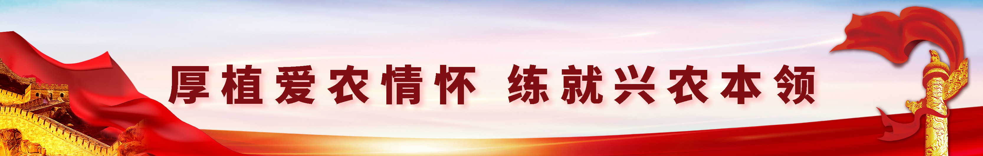 永利3044noc集团官网