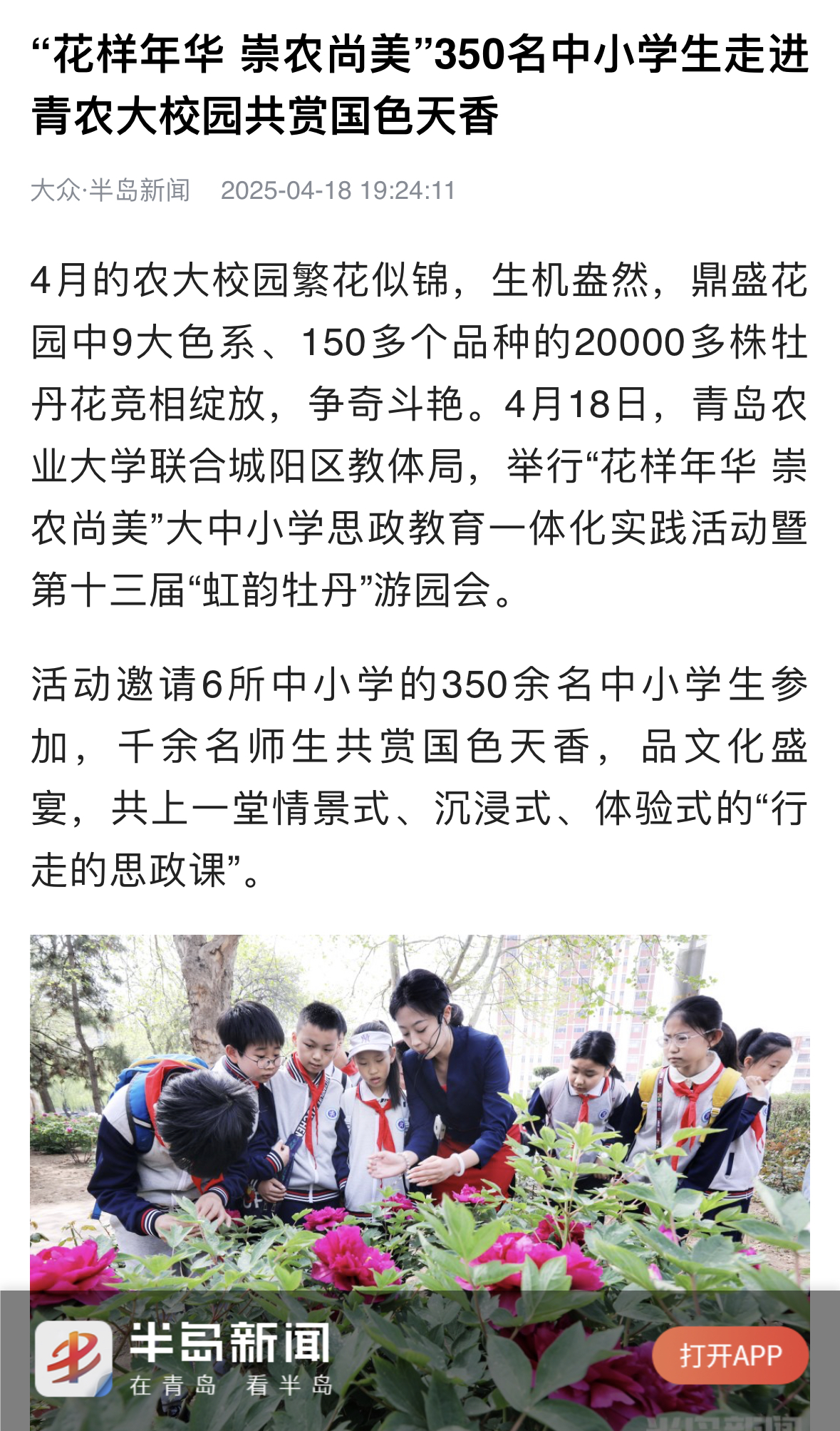 永利3044noc集团官网