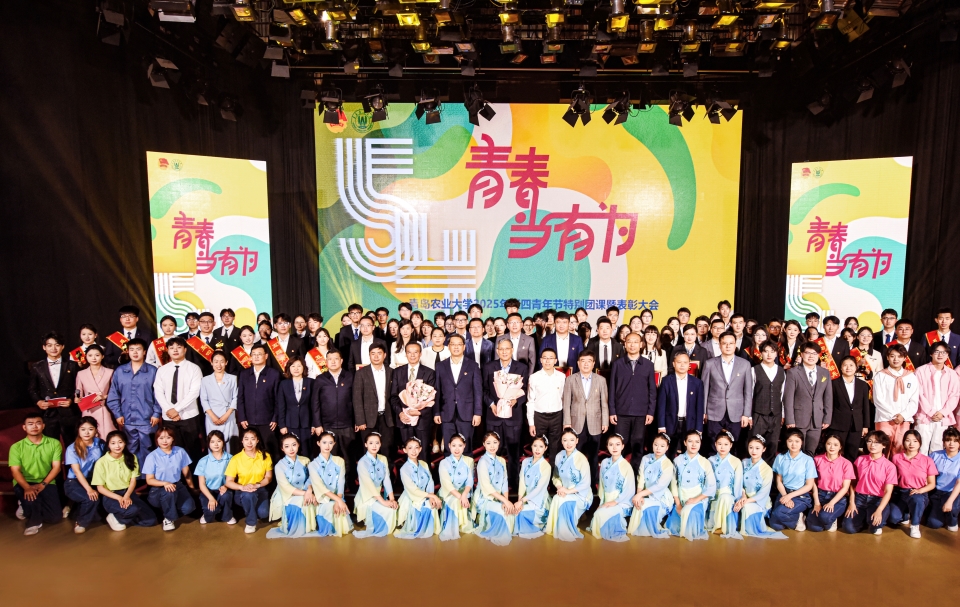 永利3044noc集团官网