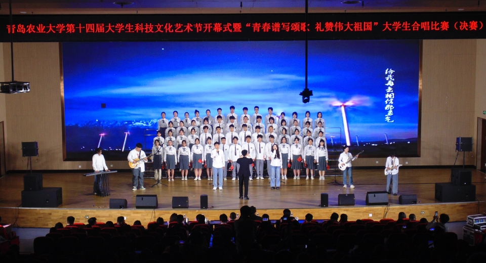 永利3044noc集团官网