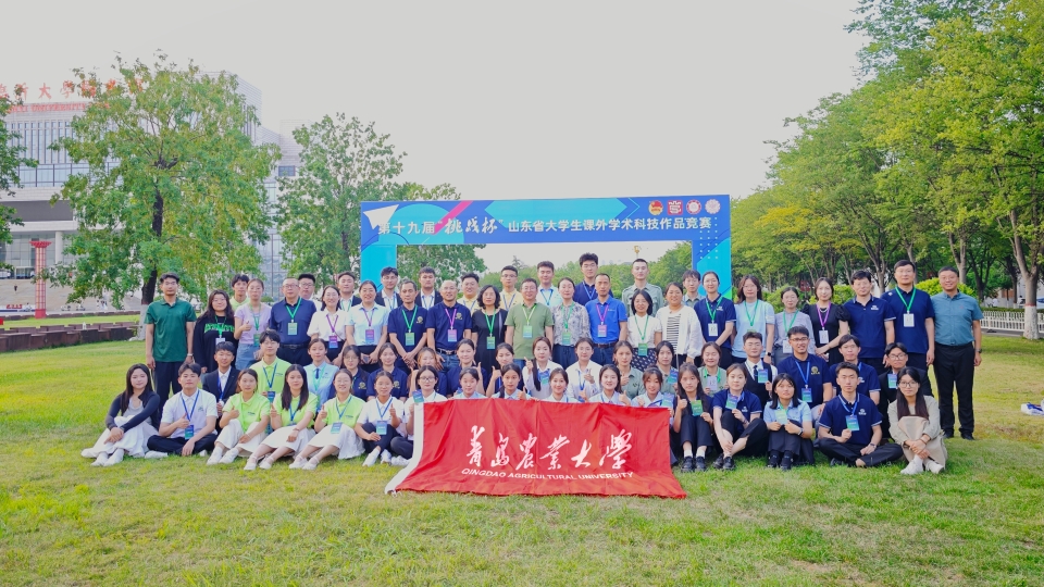 永利3044noc集团官网