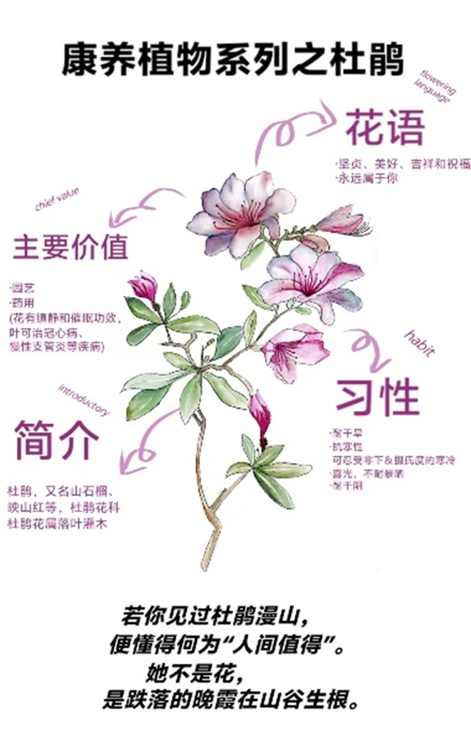 永利3044noc集团官网