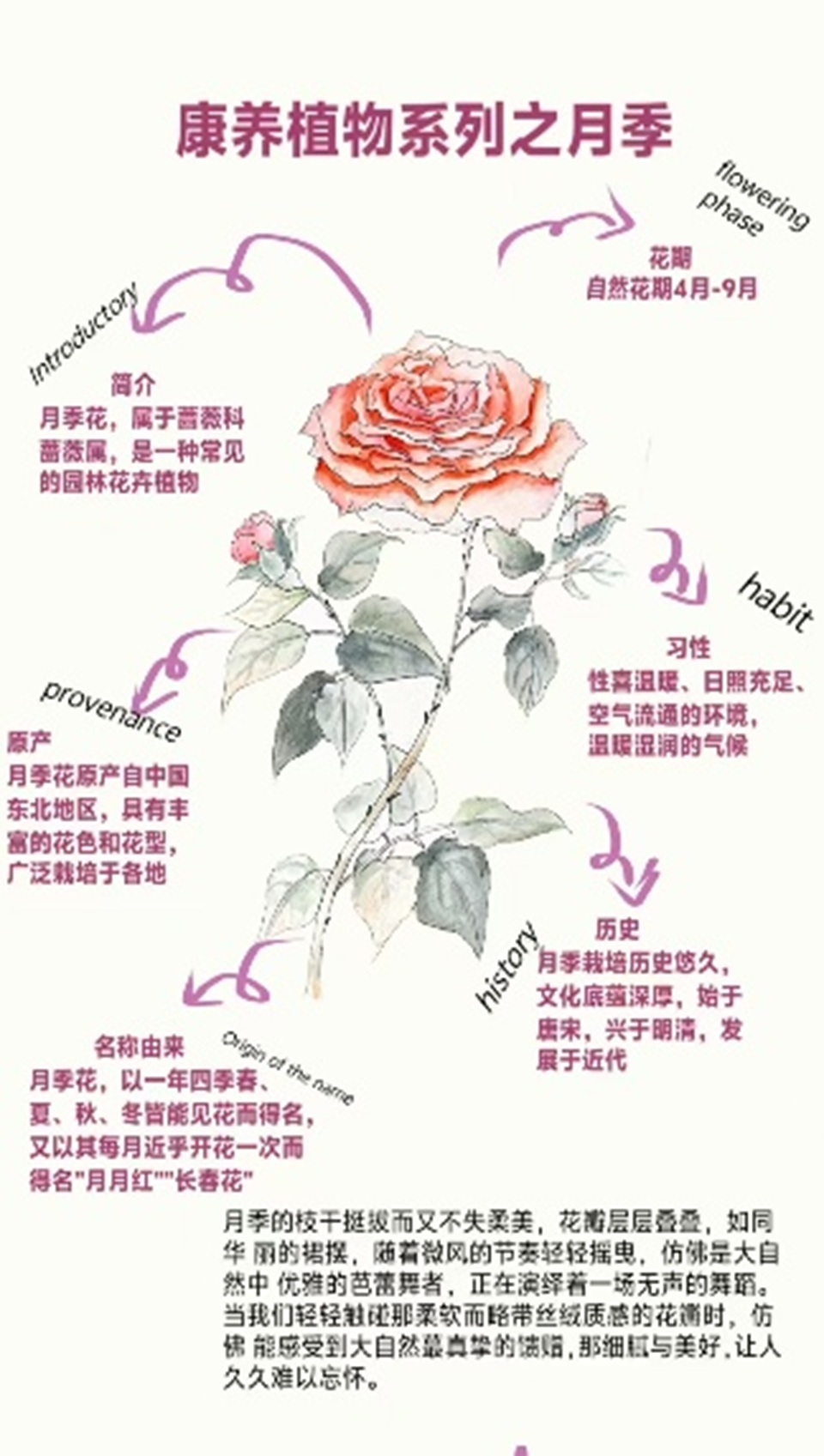 永利3044noc集团官网