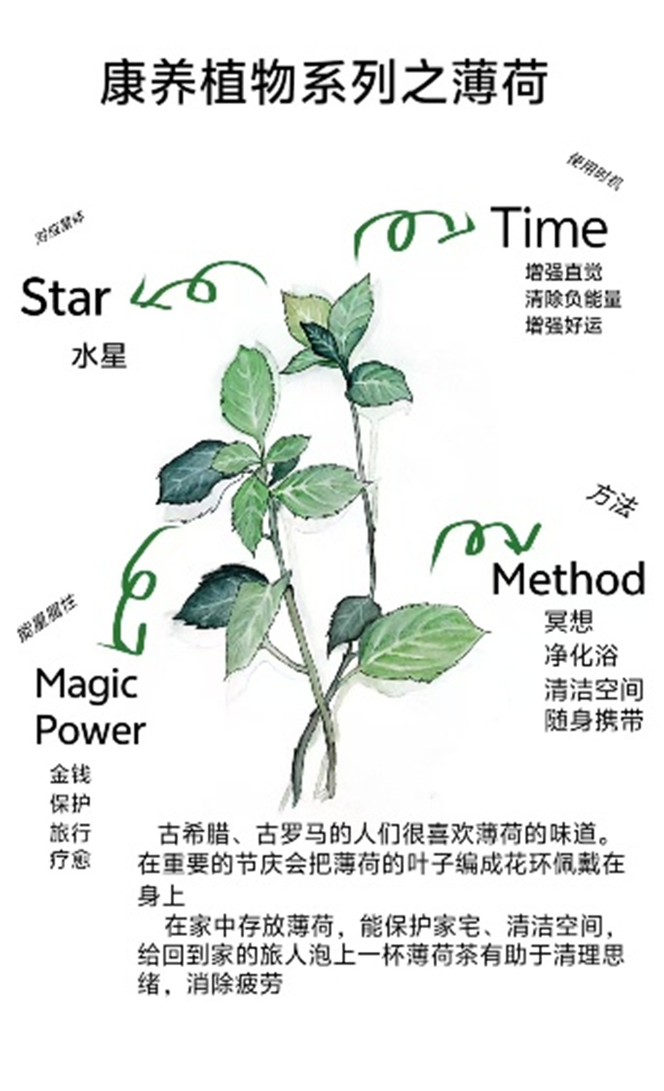 永利3044noc集团官网